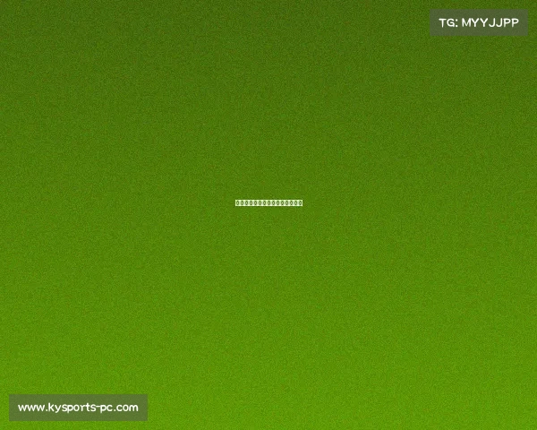 罗马轻松击败莱切,欧战希望复燃 罗马轻松击败莱切,欧战希望复燃